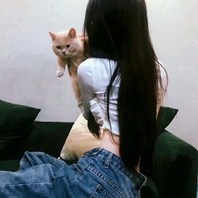 逃狱兄弟3